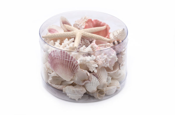 Premium Coral and Seashell Pack - Pink Glory
